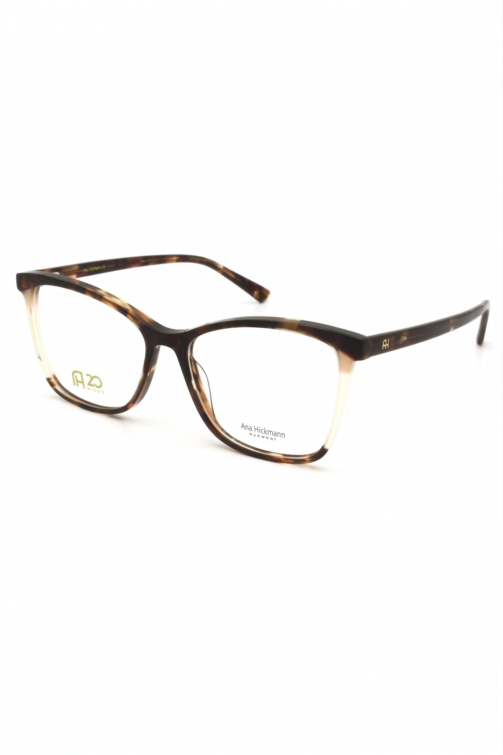 ARMAÇÃO ANA HICKMANN AH60019 G21 55